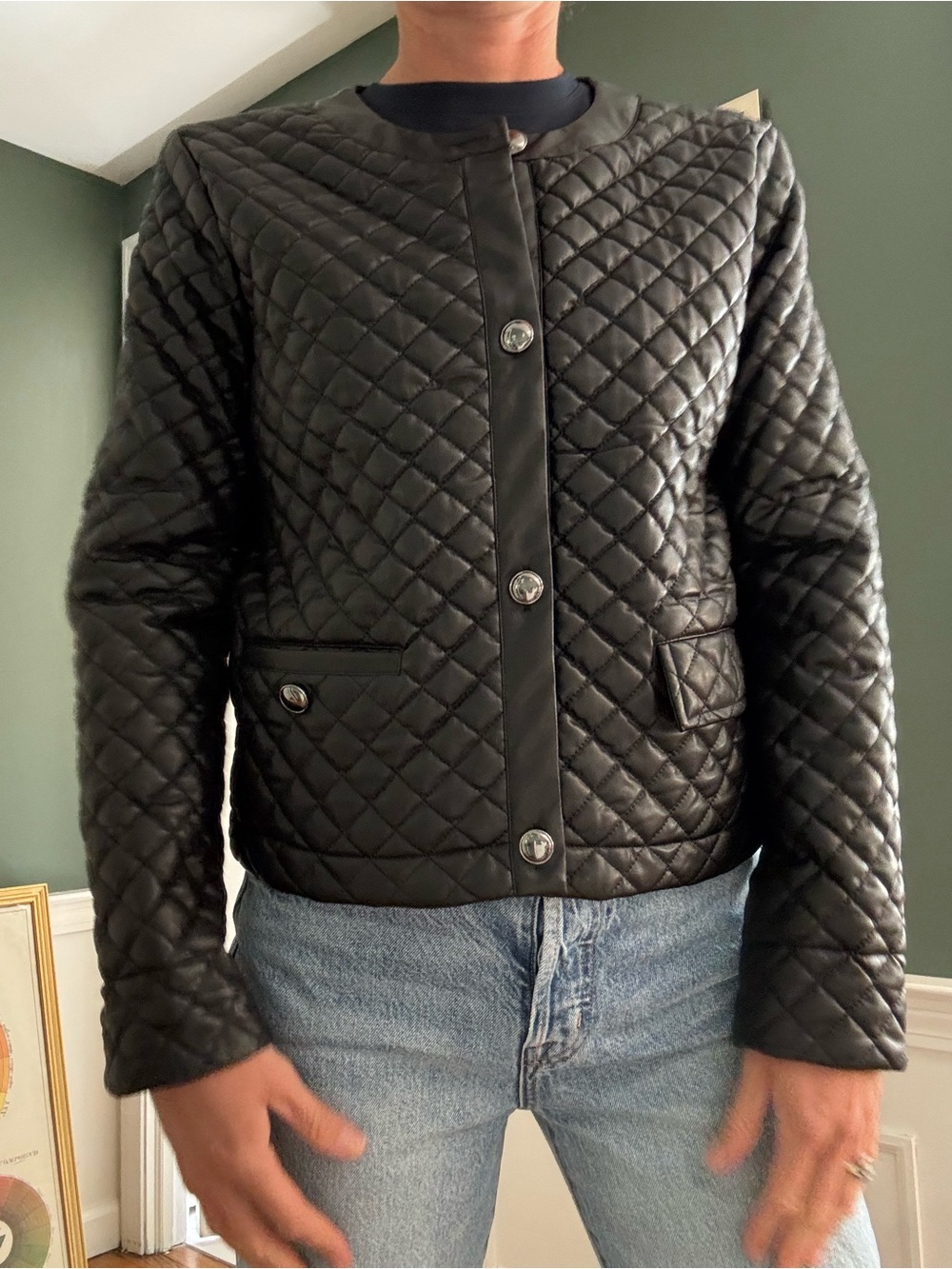 Lysse Black Aurelle Quilted Faux Leather Jacket View 2